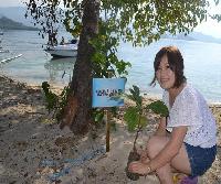 Menanam Pohon Sukun di Pulau Gusung Toraja. Foto : Ridwan Rido/Disbudpar Polman